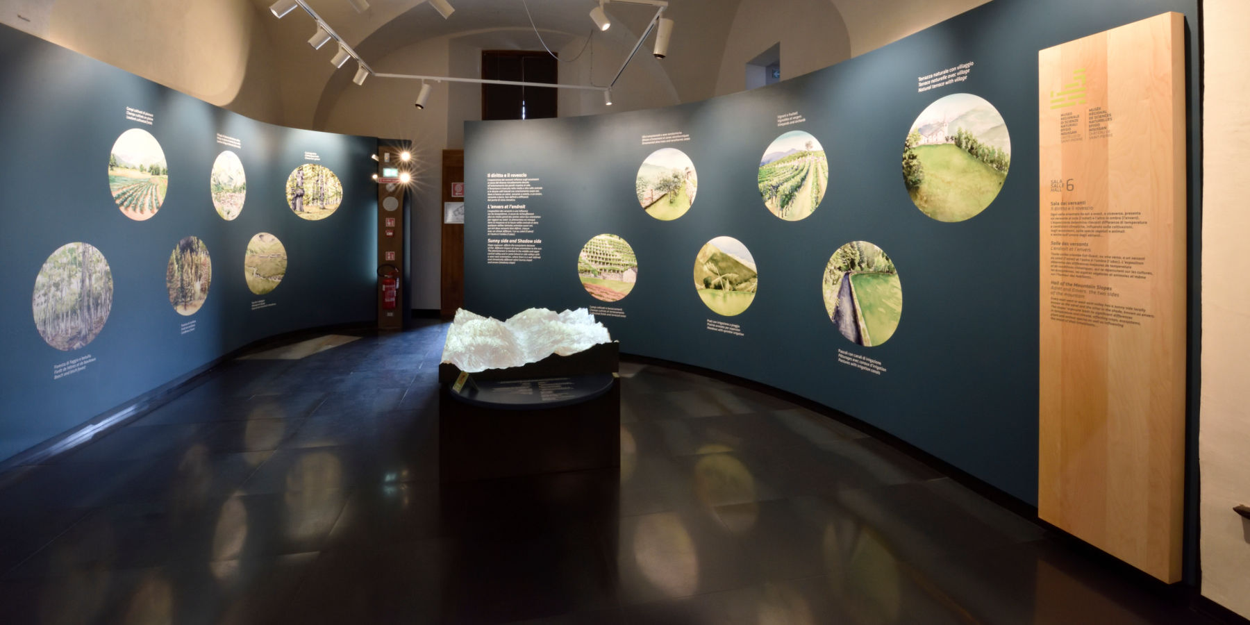 Museo di Scienze Naturali Efisio Noussan