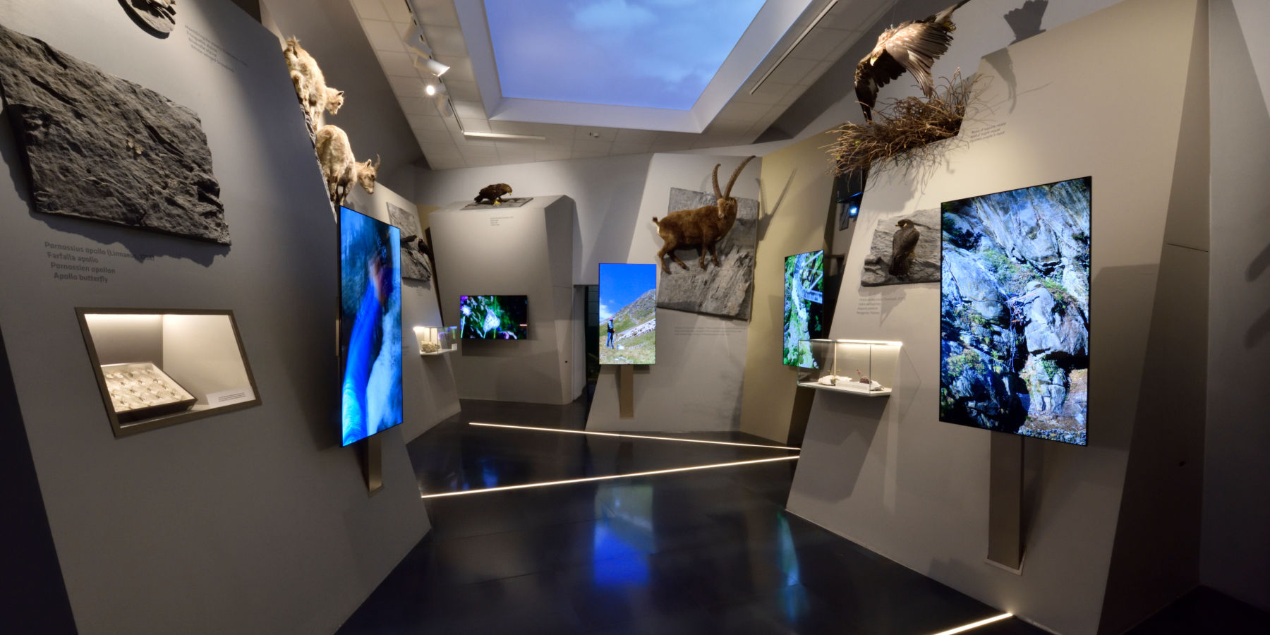 Museo di Scienze Naturali Efisio Noussan