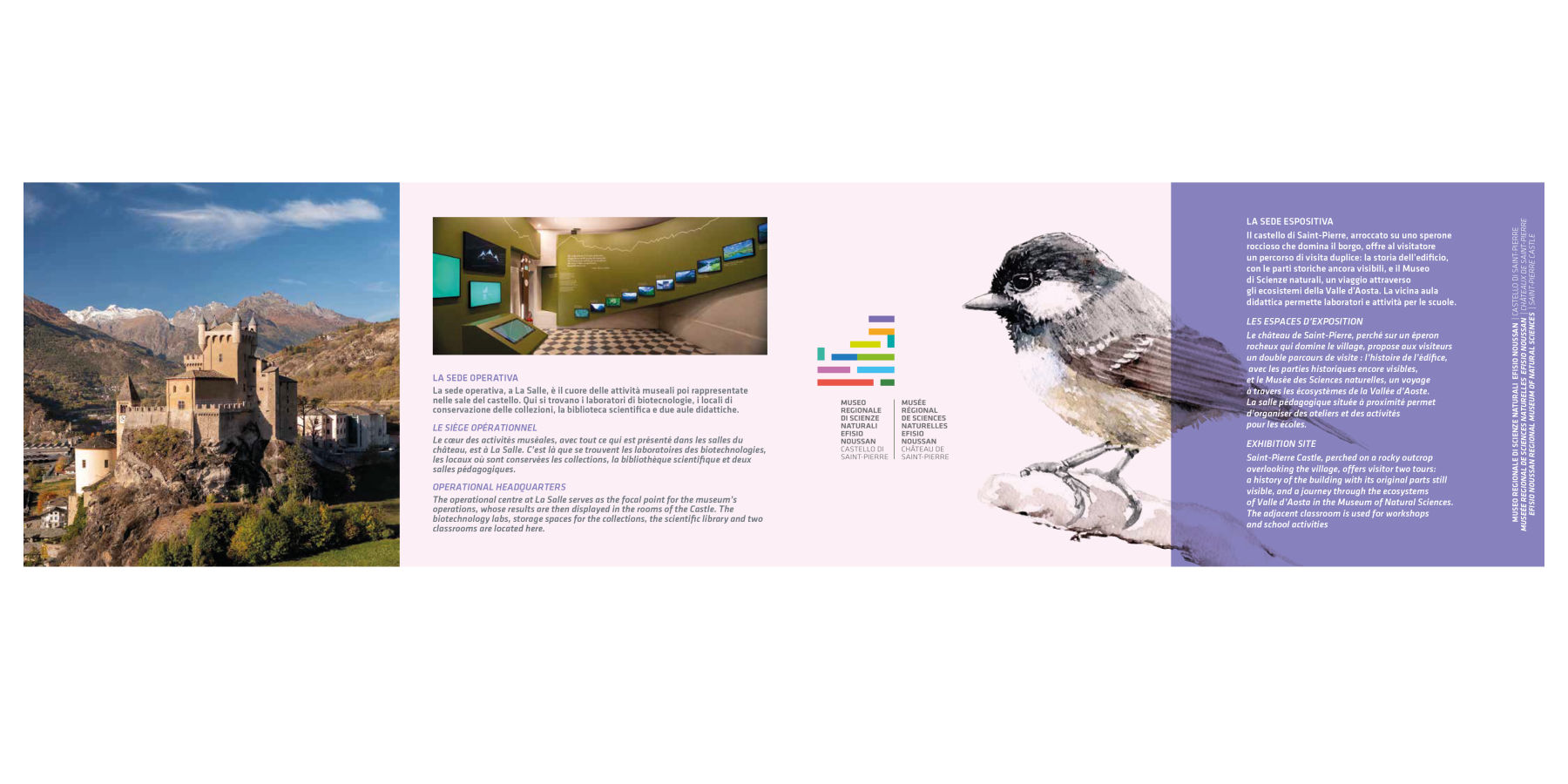 Museo di Scienze Naturali Efisio Noussan